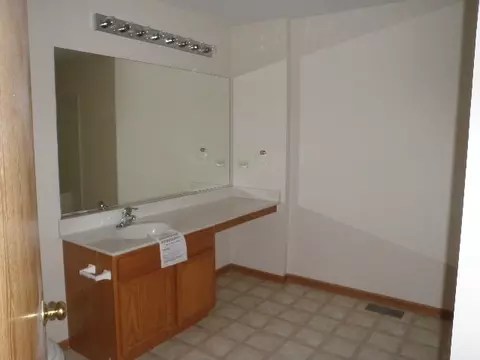 353 Aster Dr, Minooka, IL 60447 photo 7