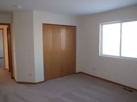 353 Aster Dr, Minooka, IL 60447 photo 9
