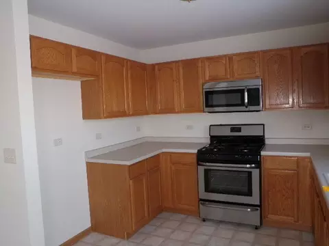 353 Aster Dr, Minooka, IL 60447 photo 2