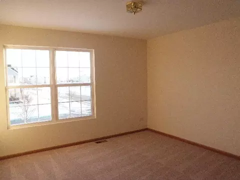 353 Aster Dr, Minooka, IL 60447 photo 10