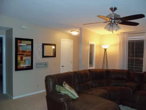 704 8th St, Mazon, IL 60444 photo 7
