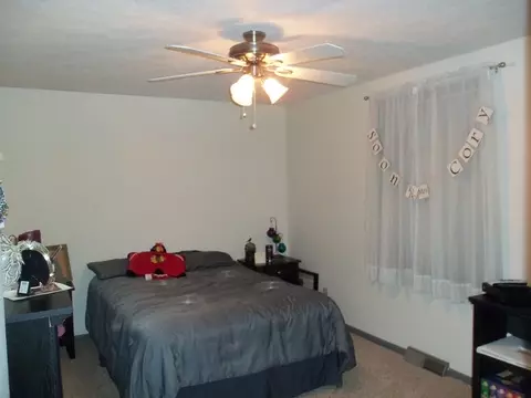 704 8th St, Mazon, IL 60444 photo 14