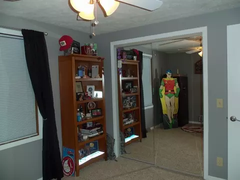704 8th St, Mazon, IL 60444 photo 13