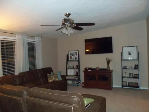704 8th St, Mazon, IL 60444 photo 6