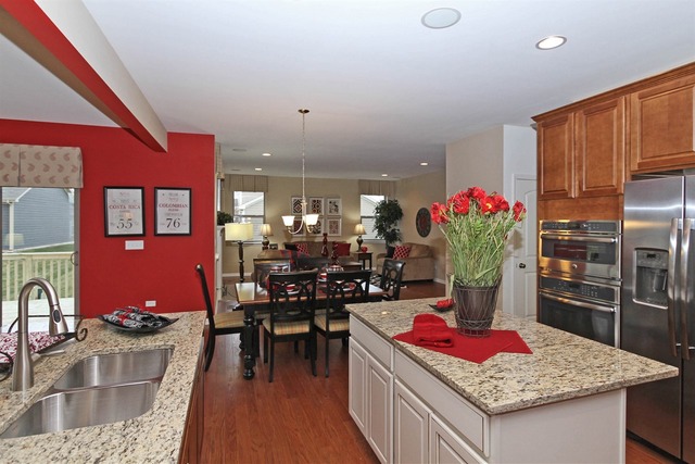 425 W Amberside Dr, Elgin, IL 60124 photo 8
