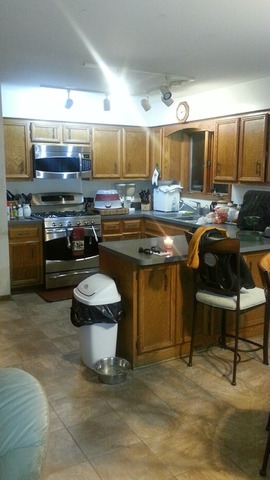 13209 Cathy Ln, Plainfield, IL 60585 photo 4
