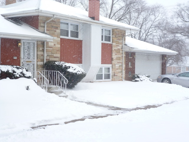 14645 Woodlawn Ave, Dolton, IL 60419 photo 19
