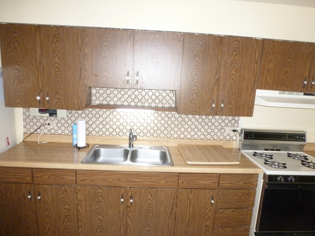 14645 Woodlawn Ave, Dolton, IL 60419 photo 5