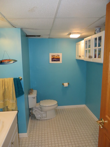 17 E James Way, Cary, IL 60013 photo 11