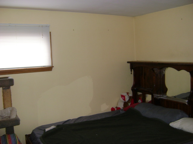 3 Jayne St, Algonquin, IL 60102 photo 6