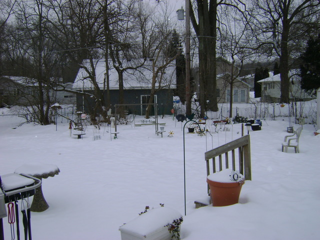 3 Jayne St, Algonquin, IL 60102 photo 11