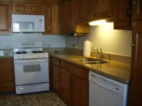 1614 Hadley Ct #d1, Wheeling, IL 60090 photo 4