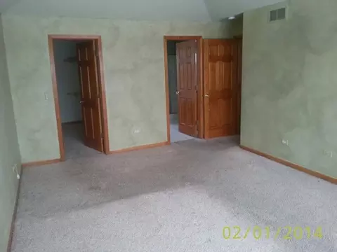 25049 Michele Dr, Plainfield, IL 60544 photo 16