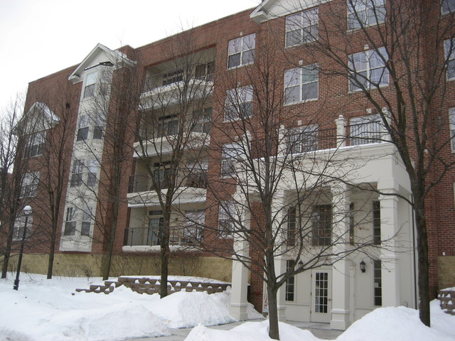 3125 Town Square Dr #403, Rolling Meadows, IL 60008 photo 1