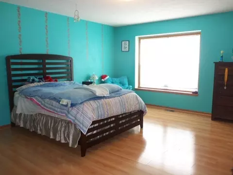 391 Red Fox Dr, Davis Junction, IL 61020 photo 20