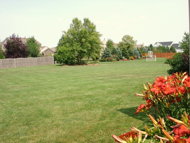 4 Bunker Hill Ct, Algonquin, IL 60102 photo 23
