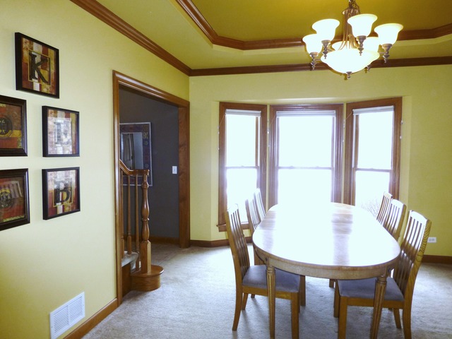 4 Bunker Hill Ct, Algonquin, IL 60102 photo 11