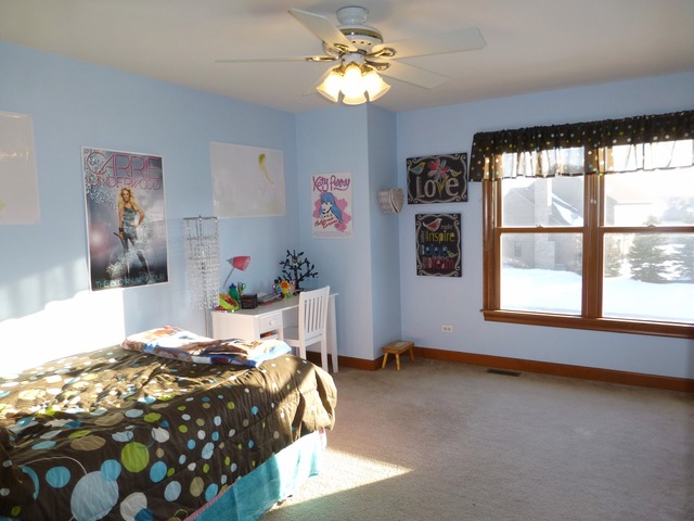 4 Bunker Hill Ct, Algonquin, IL 60102 photo 18