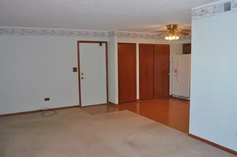 1472 N Rock Run Dr #2B, Crest Hill, IL 60403 photo 6
