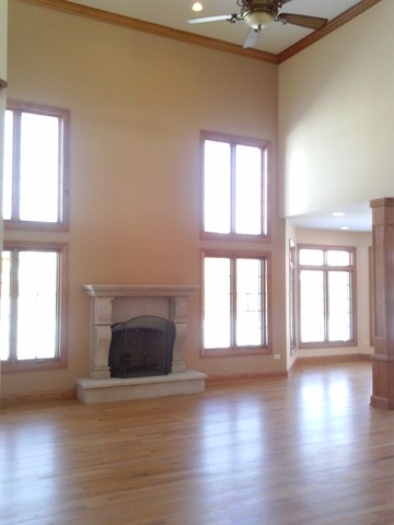 24848 Barolo Dr, Plainfield, IL 60586 photo 4
