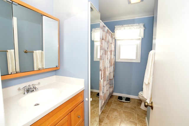 1169 Windsor Dr, Wheaton, IL 60189 photo 15