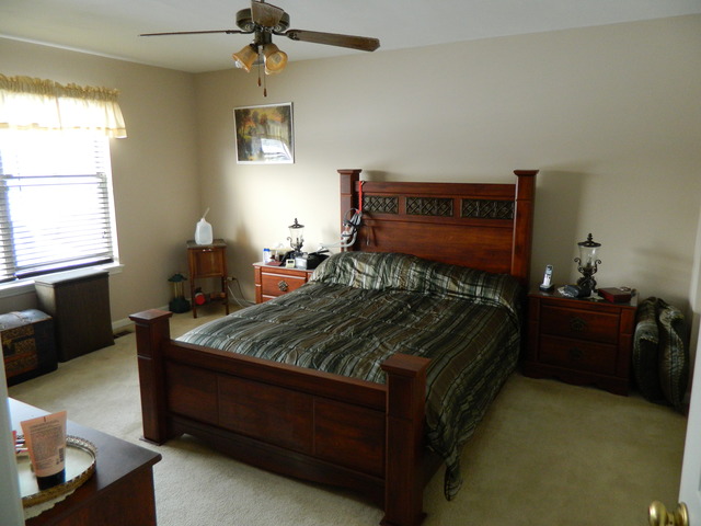 206 Dickens Trl, Elgin, IL 60120 photo 8