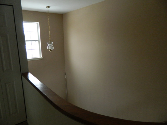 206 Dickens Trl, Elgin, IL 60120 photo 2