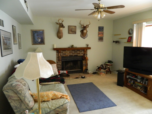 206 Dickens Trl, Elgin, IL 60120 photo 4