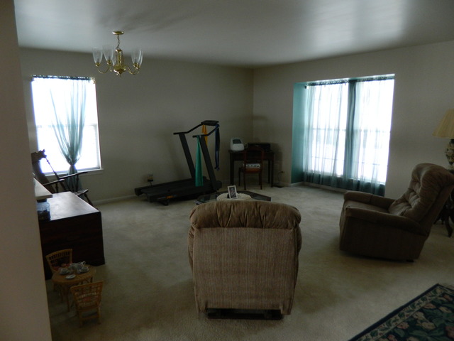 206 Dickens Trl, Elgin, IL 60120 photo 1