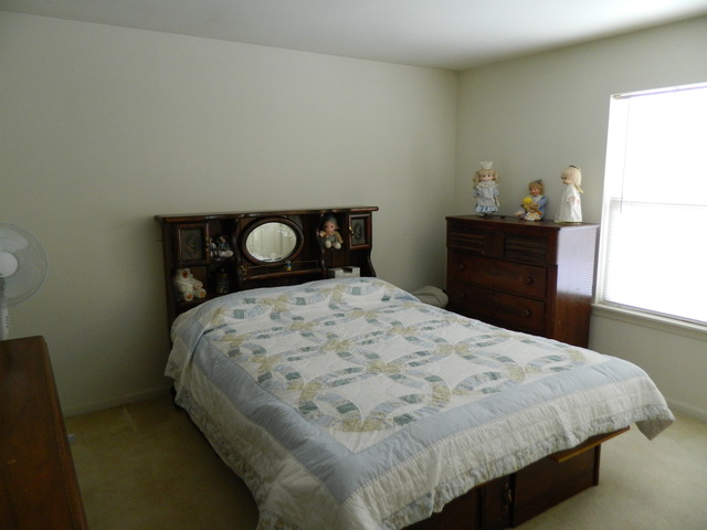 206 Dickens Trl, Elgin, IL 60120 photo 7
