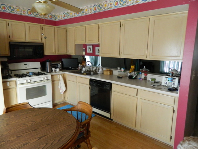 206 Dickens Trl, Elgin, IL 60120 photo 3