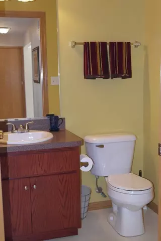 16319 Celtic Cir, Manhattan, IL 60442 photo 9