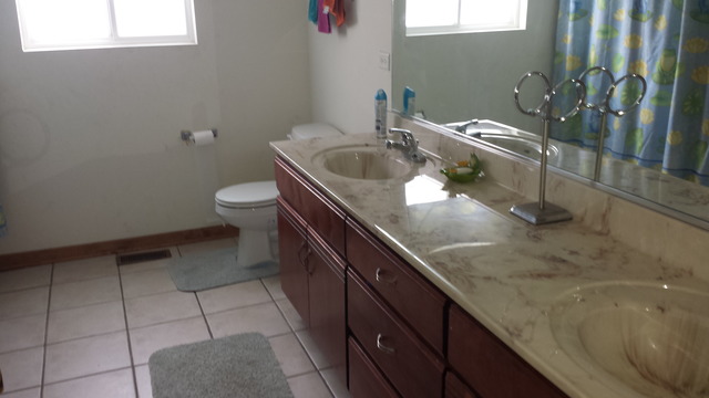 15229 7th Ave, Harvey, IL 60426 photo 11