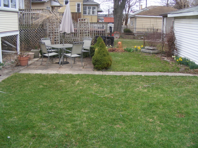 1117 Beloit Ave, Forest Park, IL 60130 photo 22