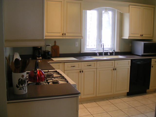 1117 Beloit Ave, Forest Park, IL 60130 photo 9