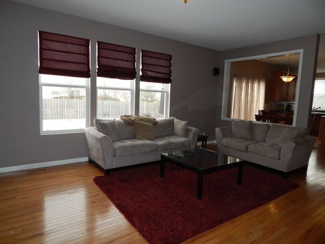 24106 Nottingham Ave, Plainfield, IL 60585 photo 12
