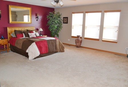 14440 Independence Dr, Plainfield, IL 60544 photo 8