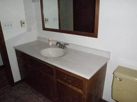 4485 E 250th Rd, Mendota, IL 61342 photo 8