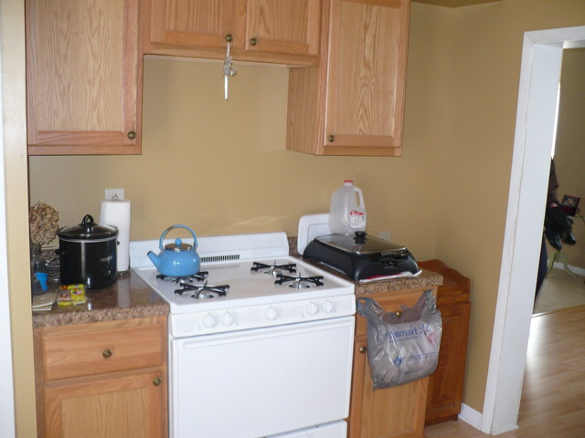 550 E 4th St, Lockport, IL 60441 photo 2