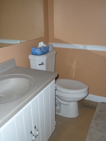 214 Scott Ct, Bartlett, IL 60103 photo 8