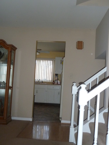 214 Scott Ct, Bartlett, IL 60103 photo 2