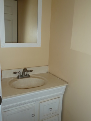214 Scott Ct, Bartlett, IL 60103 photo 16