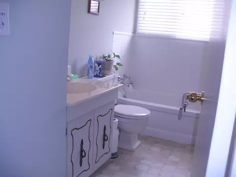 403 3rd Ave, Mendota, IL 61342 photo 6