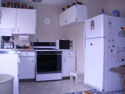 403 3rd Ave, Mendota, IL 61342 photo 7