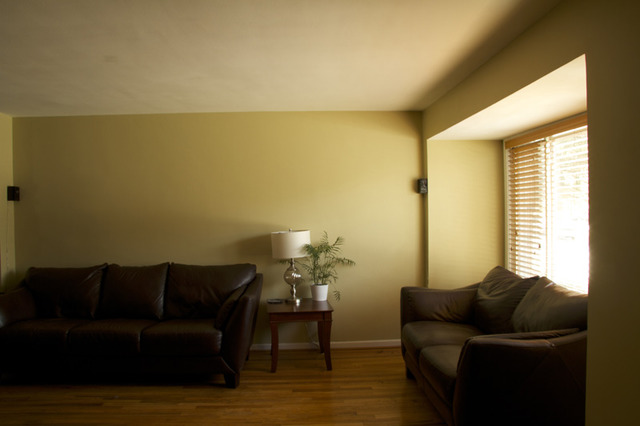 26 Dunlap Rd, Park Forest, IL 60466 photo 3