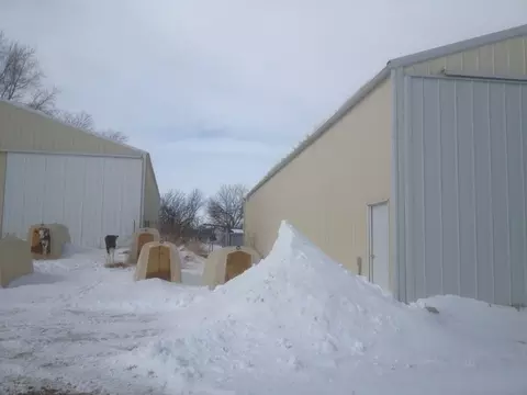 5833 Scheider Rd, Freeport, IL 61032 photo 18