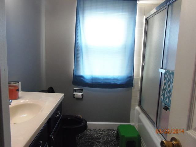 508 Cookane Ave, Elgin, IL 60120 photo 7