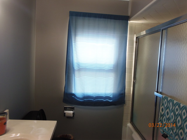 508 Cookane Ave, Elgin, IL 60120 photo 10