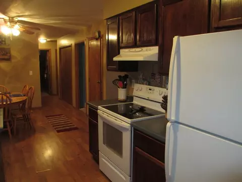 32 Trinity Pl, Spring Valley, IL 61362 photo 6