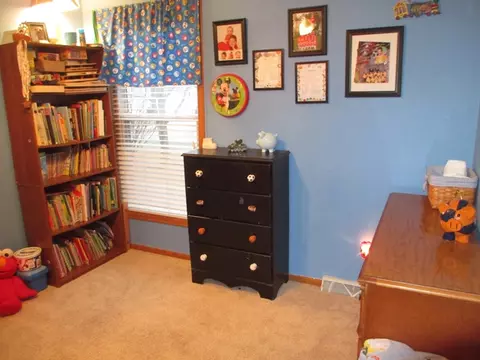 32 Trinity Pl, Spring Valley, IL 61362 photo 10